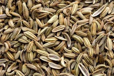 wheat product
