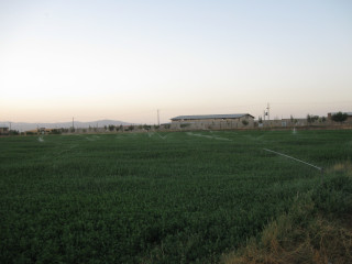 front gate image