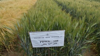 PBWS108