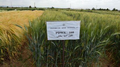 PBWS108